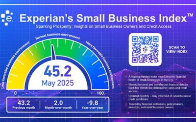 Experian Small Business Index™ increased by 2 points in May, to 45.2.