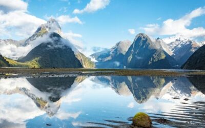 Credit Climate New Zealand: Company Liquidations Remain High