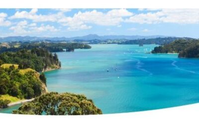 New Zealand Credit Climate: Business Credit Defaults are Up 8% year-on-year