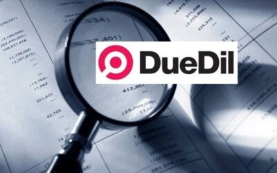 DueDil: The Mouse That Roared – Laid to Rest – Farewell to a Brand
